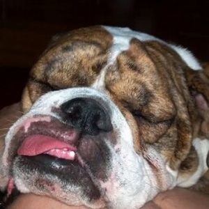 Meet your Posher, Robert